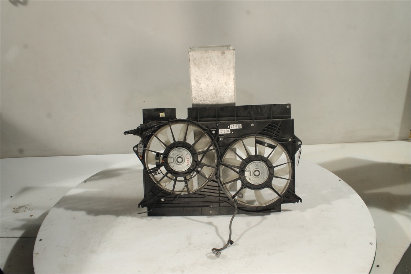 Conjunto electros y soporte