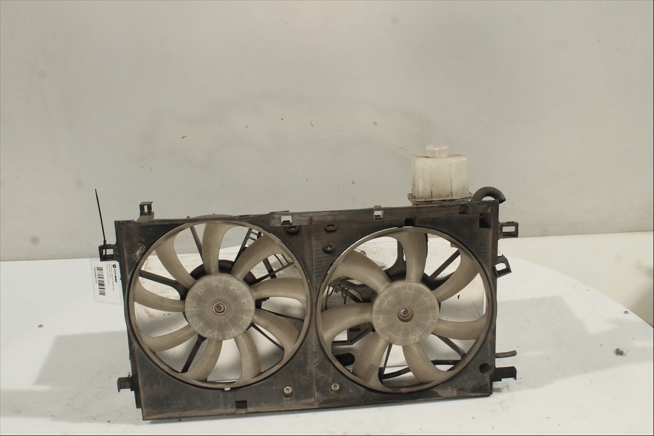 Conjunto electros y soporte