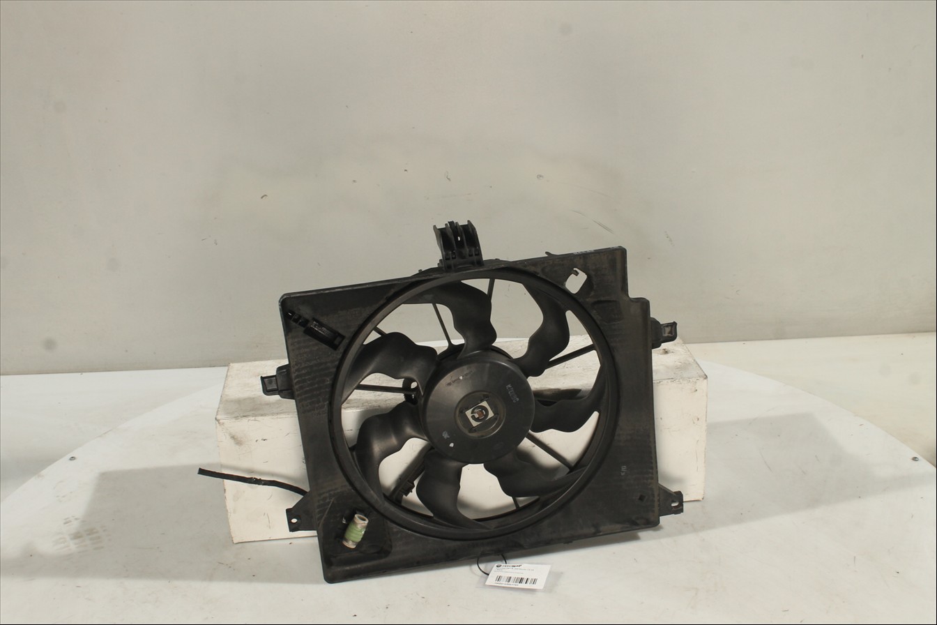 Conjunto electros y soporte