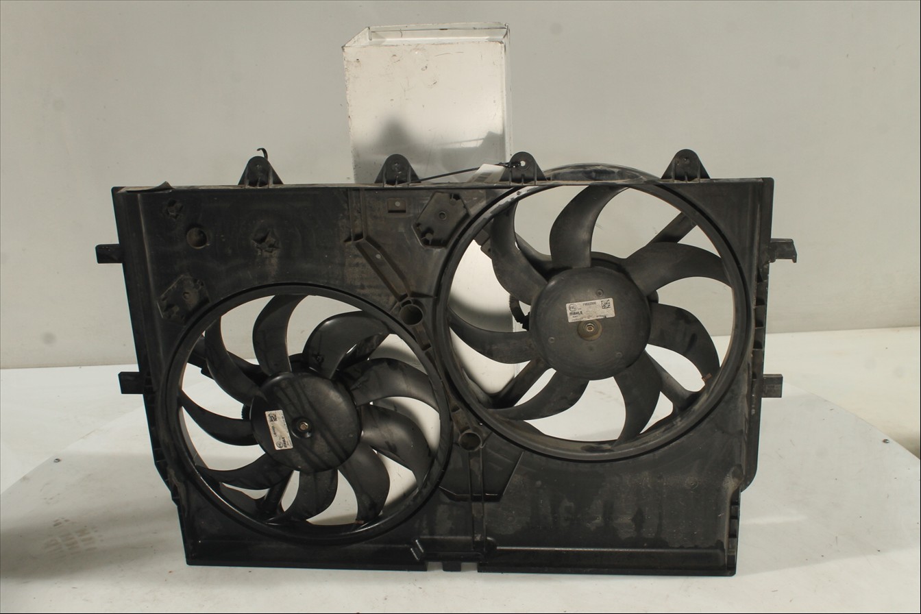 Conjunto electros y soporte