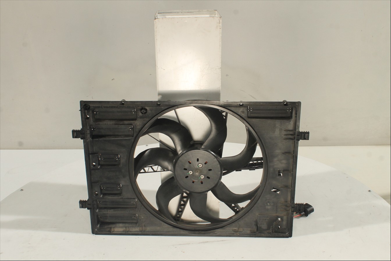 Conjunto electros y soporte