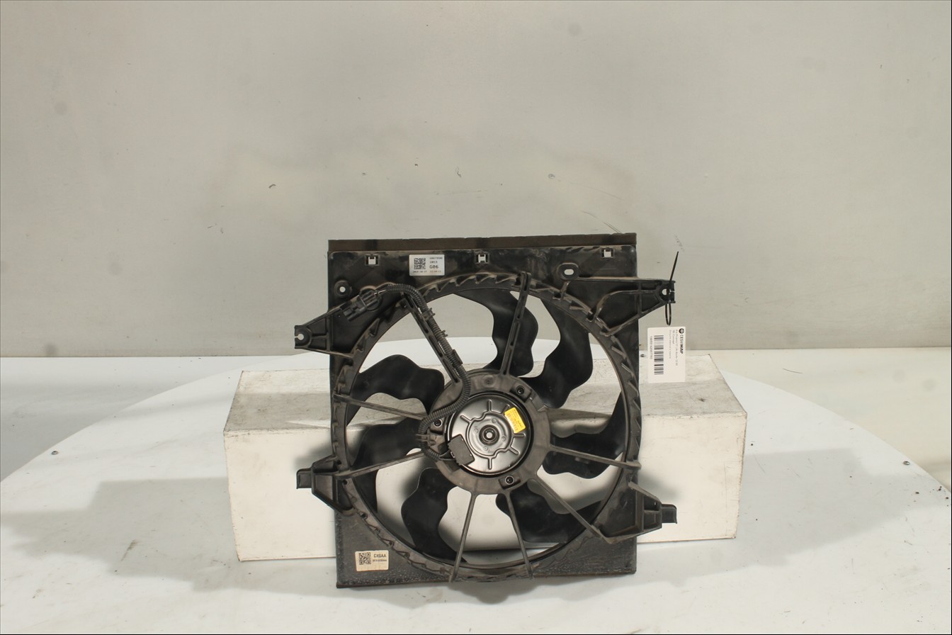 Conjunto electros y soporte