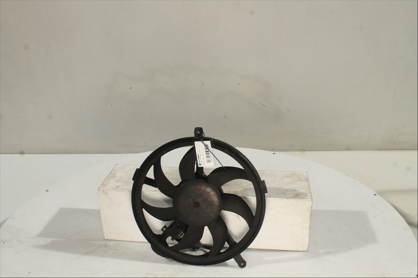 Conjunto electros y soporte