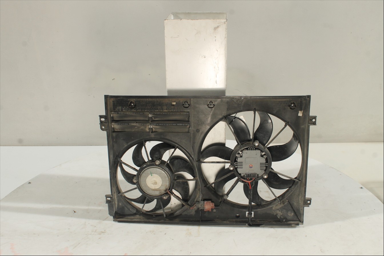 Conjunto electros y soporte