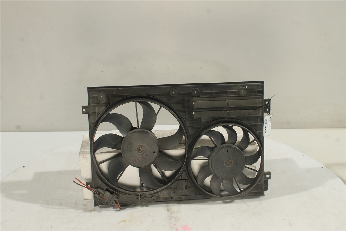 Conjunto electros y soporte