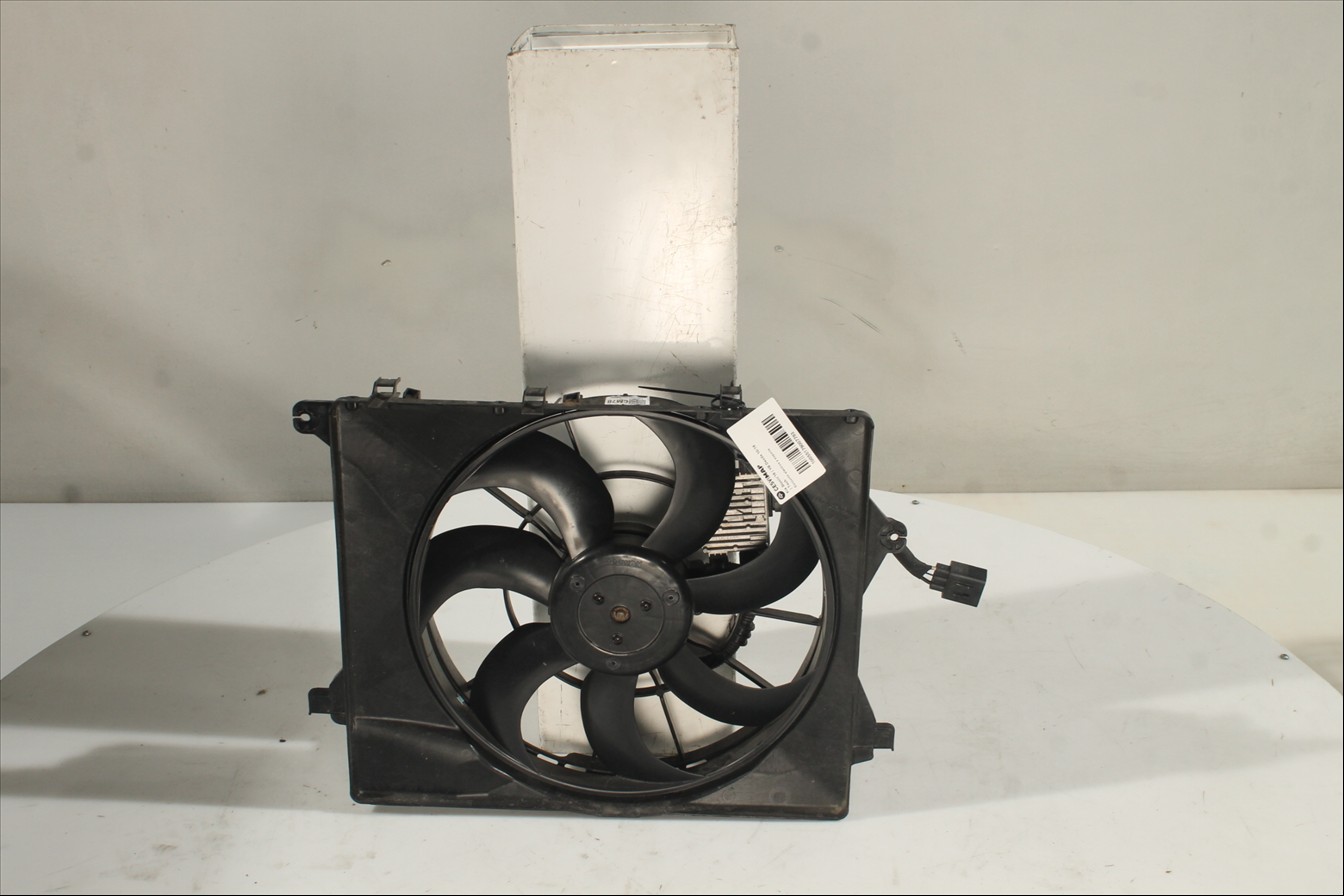 Conjunto electros y soporte