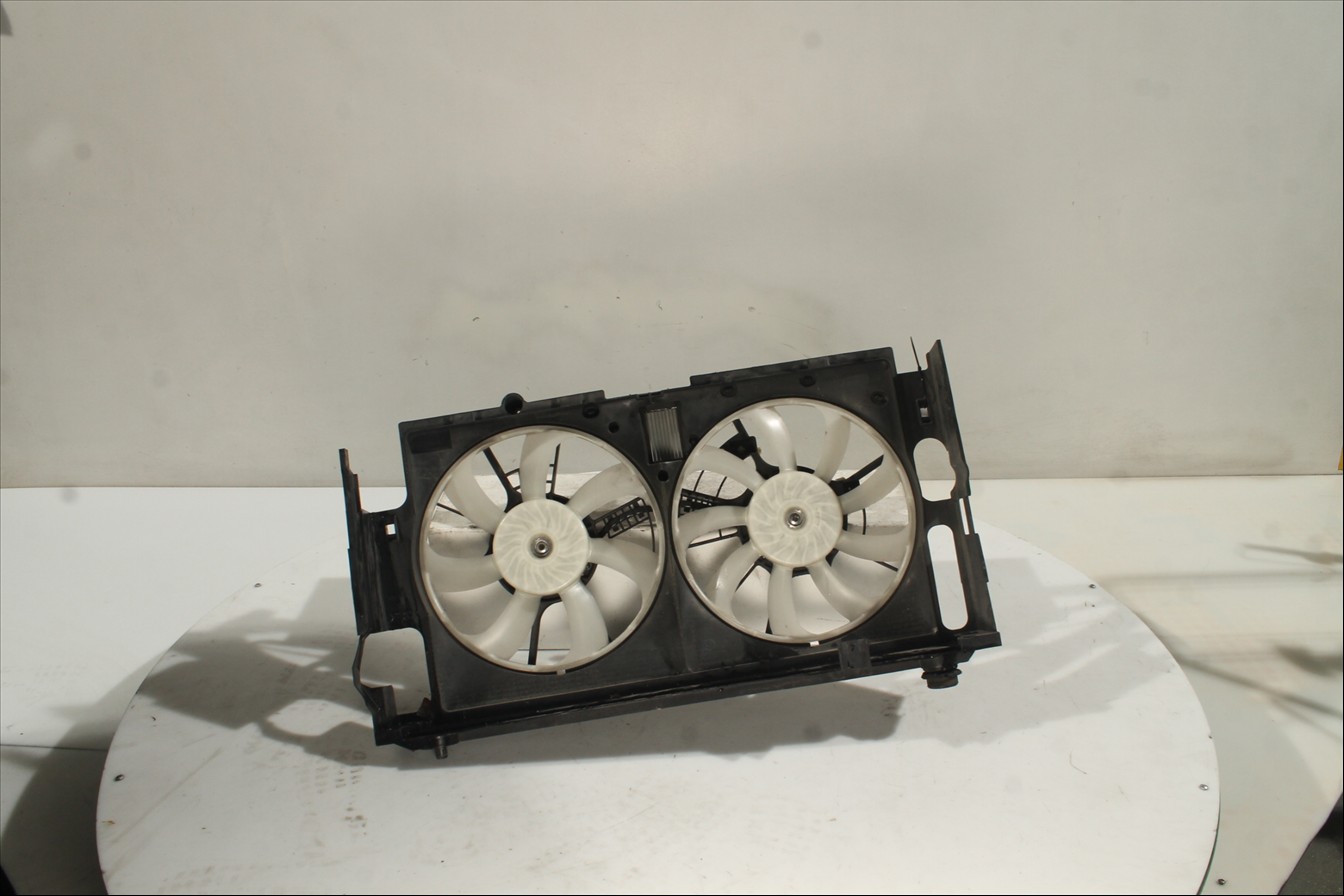 Conjunto electros y soporte