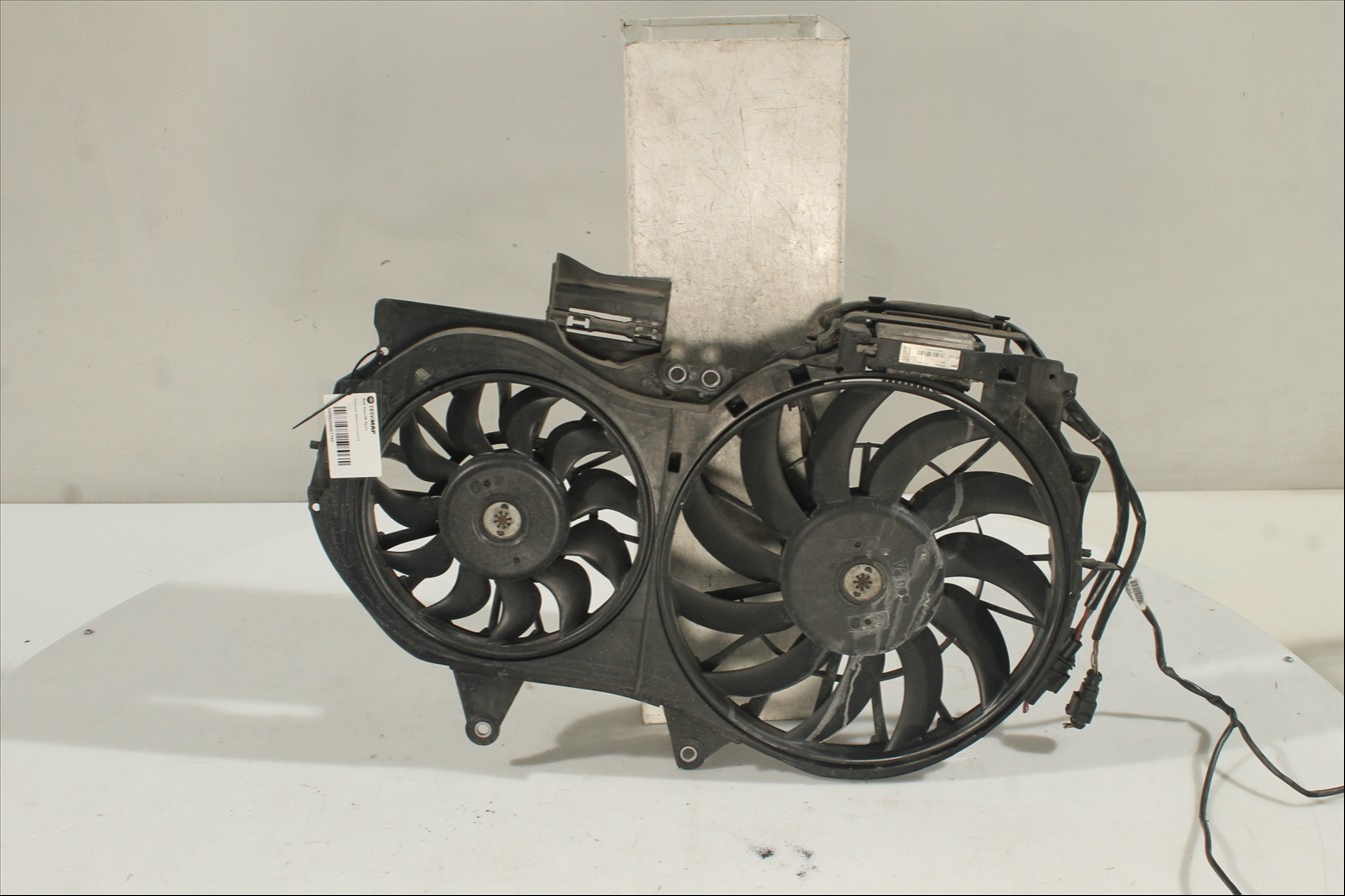 Conjunto electros y soporte