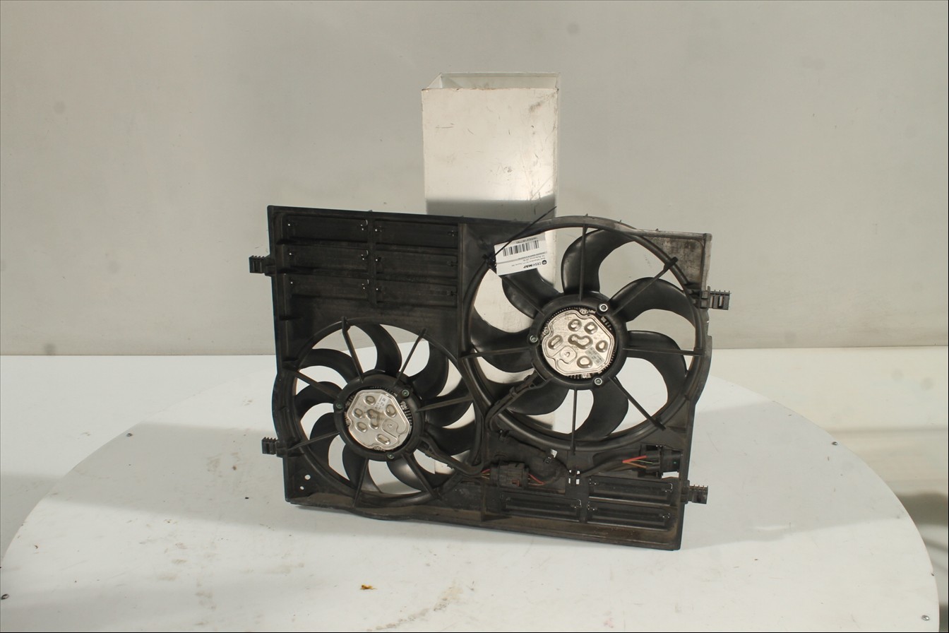 Conjunto electros y soporte