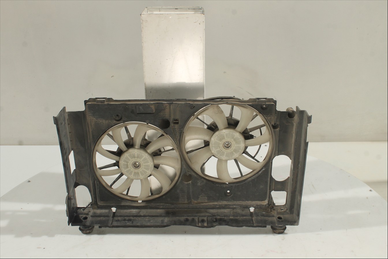 Conjunto electros y soporte