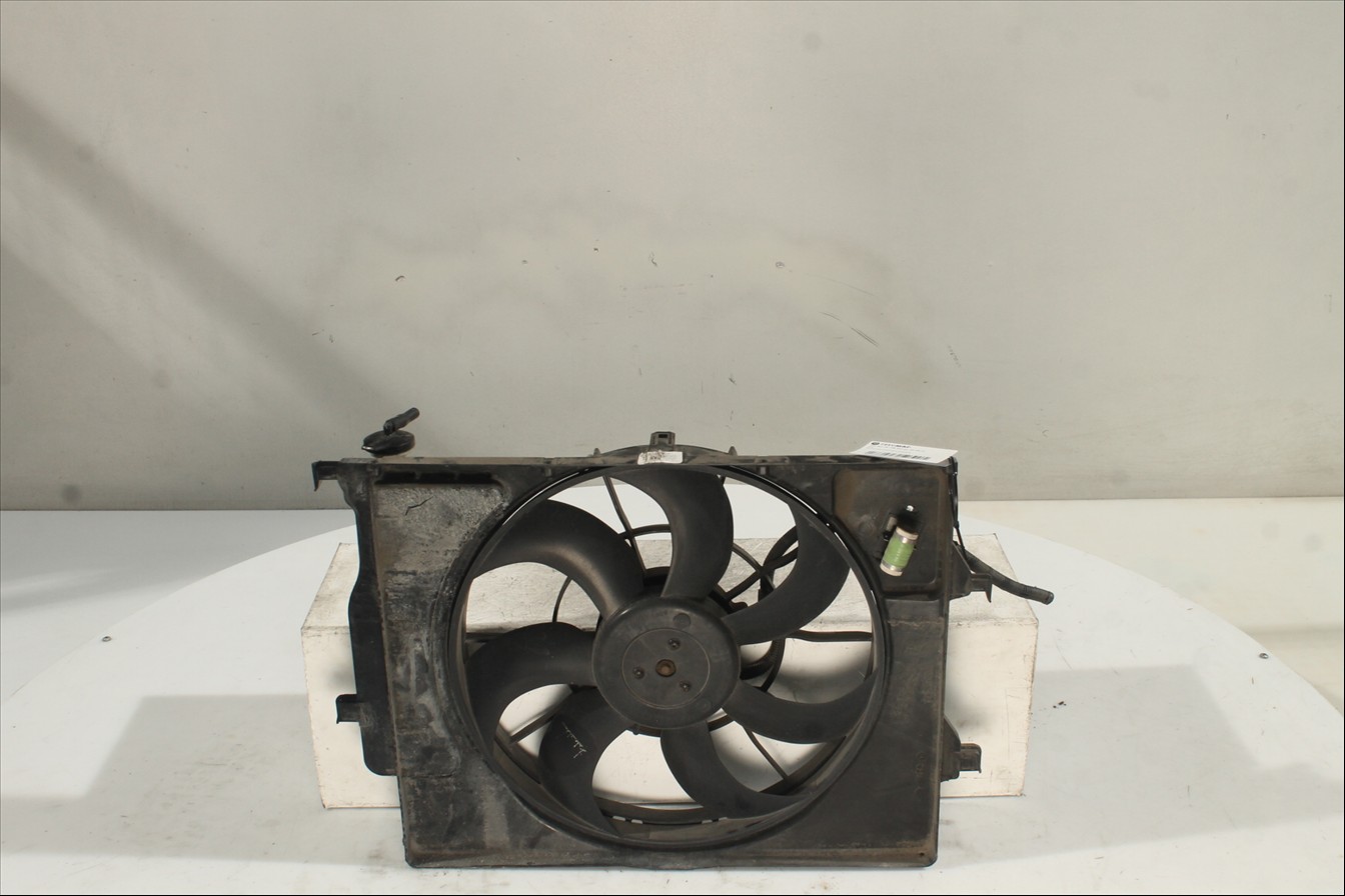 Conjunto electros y soporte