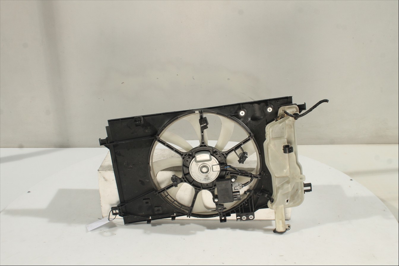 Conjunto electros y soporte