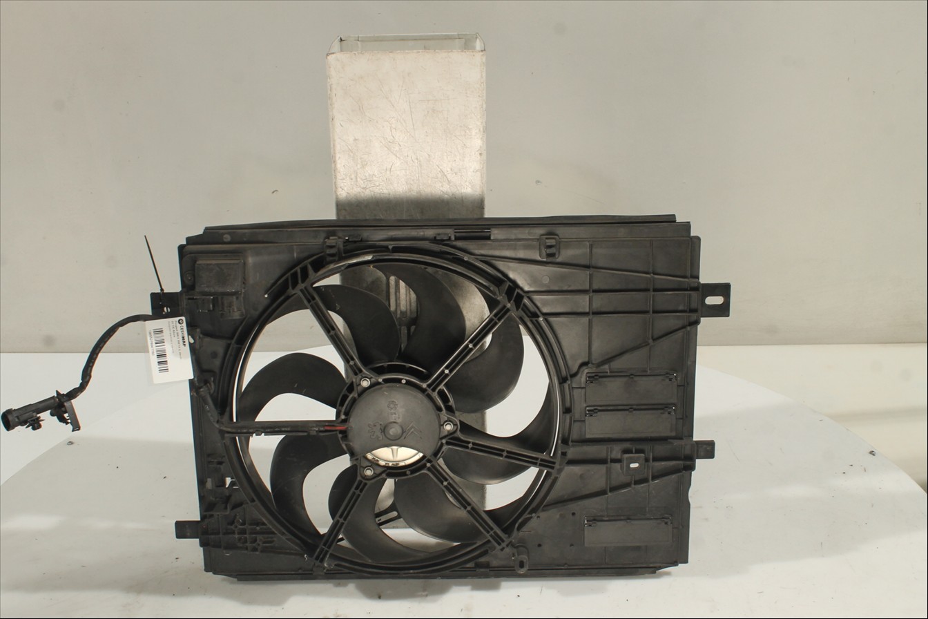 Conjunto electros y soporte