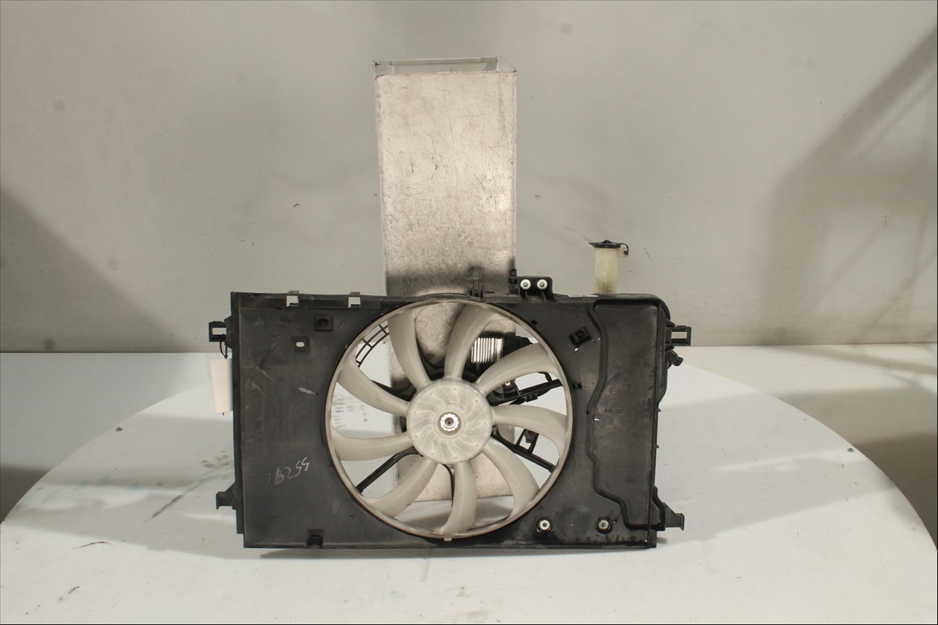 Conjunto electros y soporte