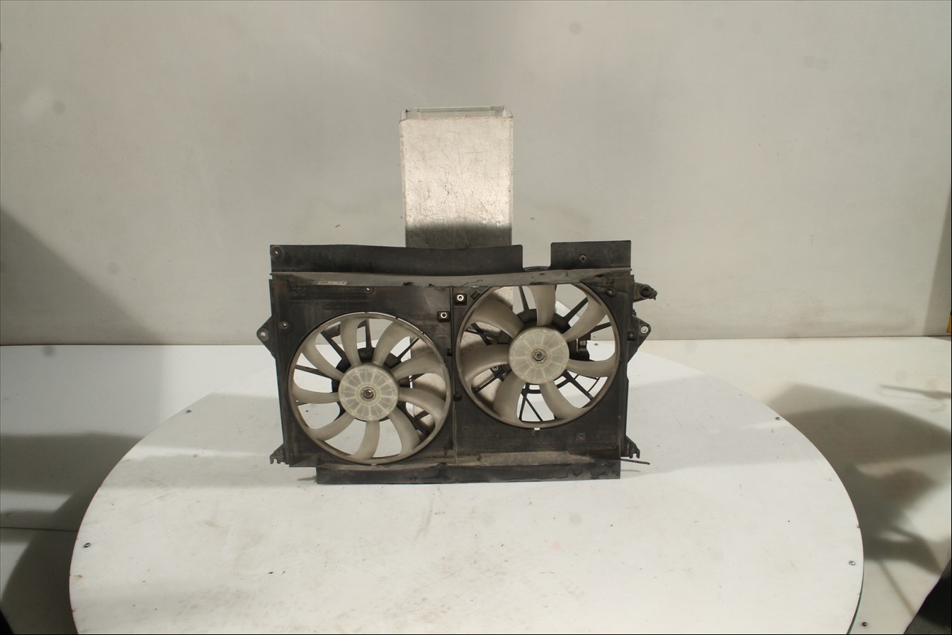 Conjunto electros y soporte