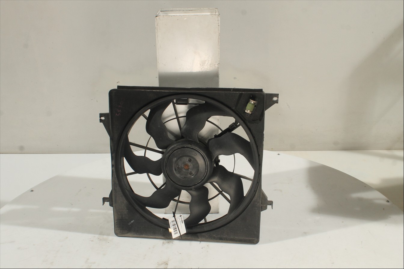 Conjunto electros y soporte