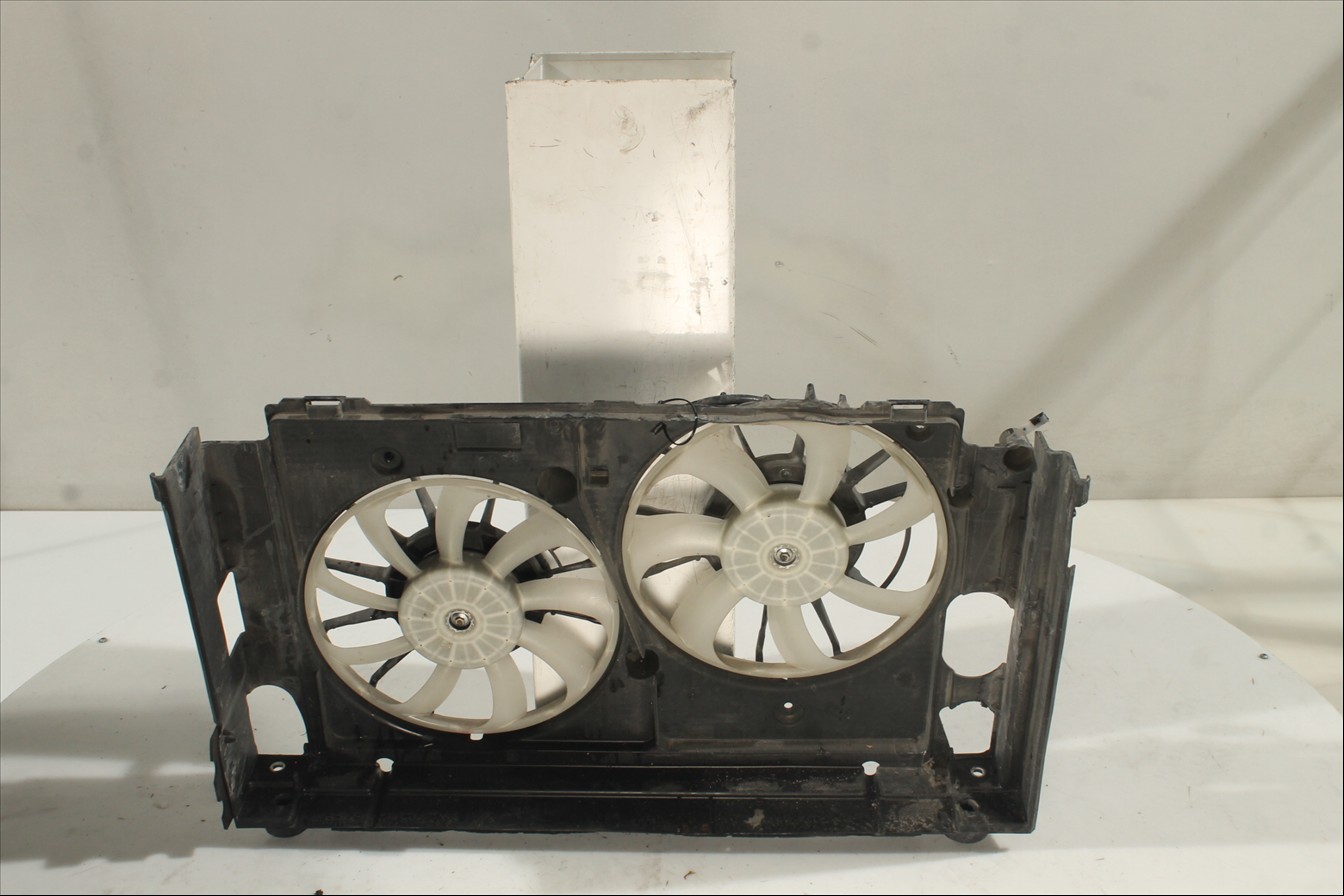 Conjunto electros y soporte