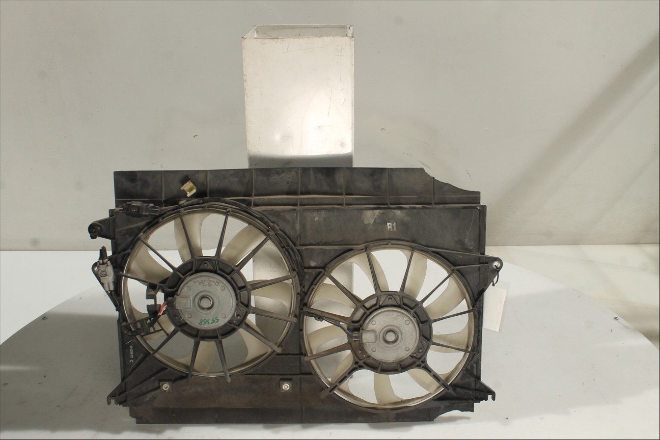 Conjunto electros y soporte