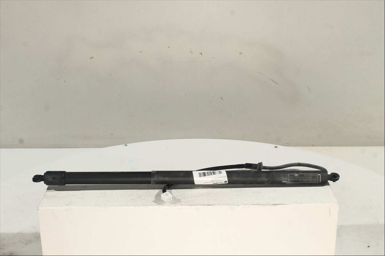 Amortiguador Izq. portón