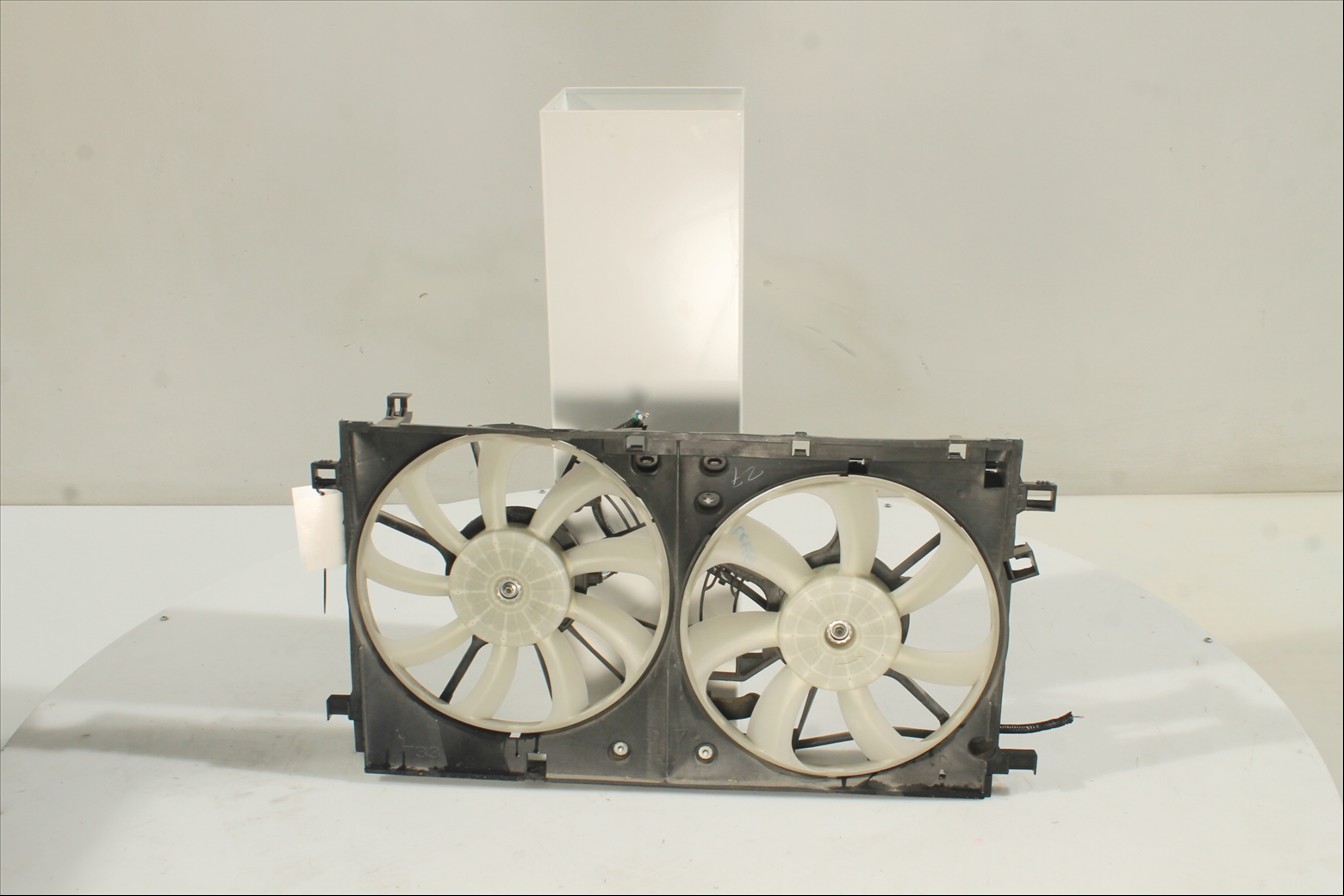 Conjunto electros y soporte