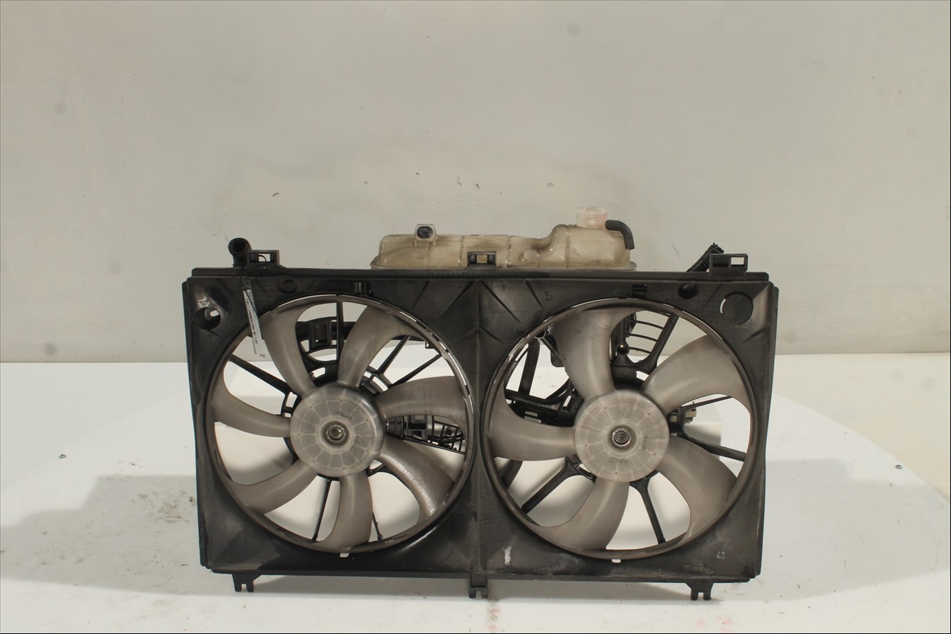 Conjunto electros y soporte