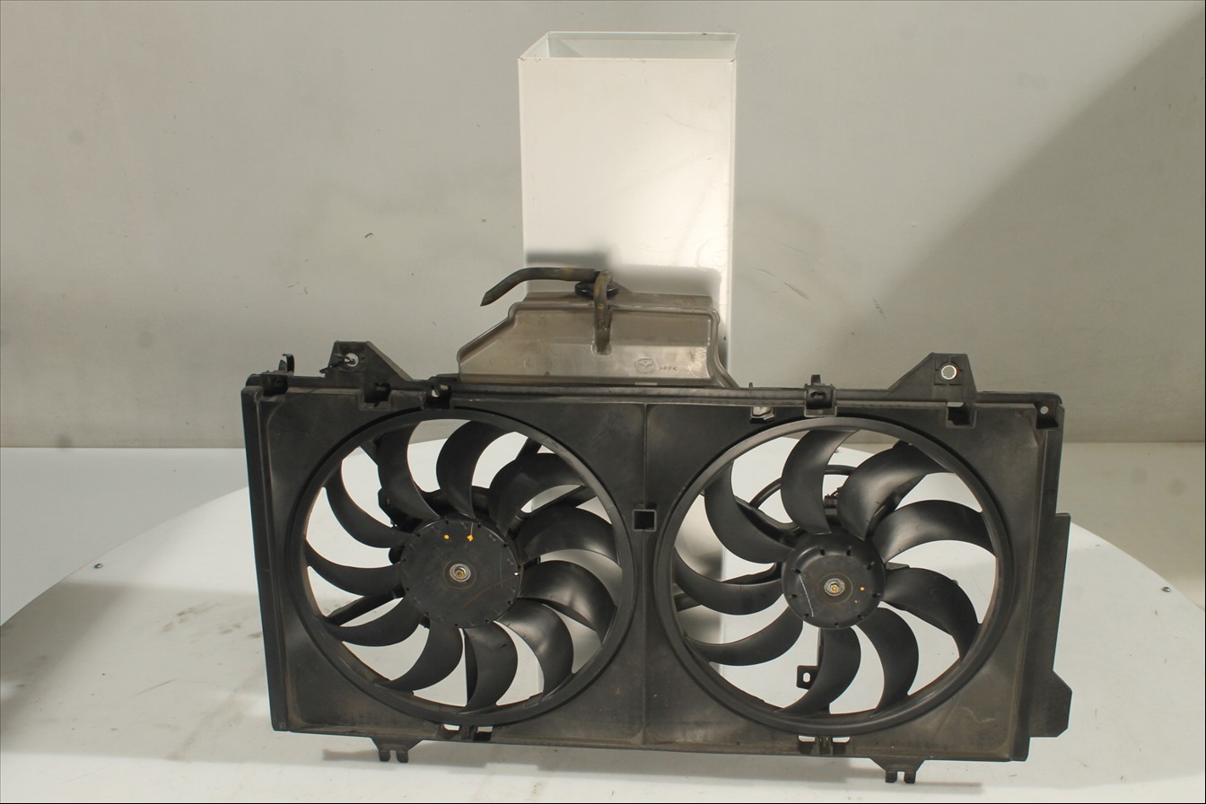 Conjunto electros y soporte