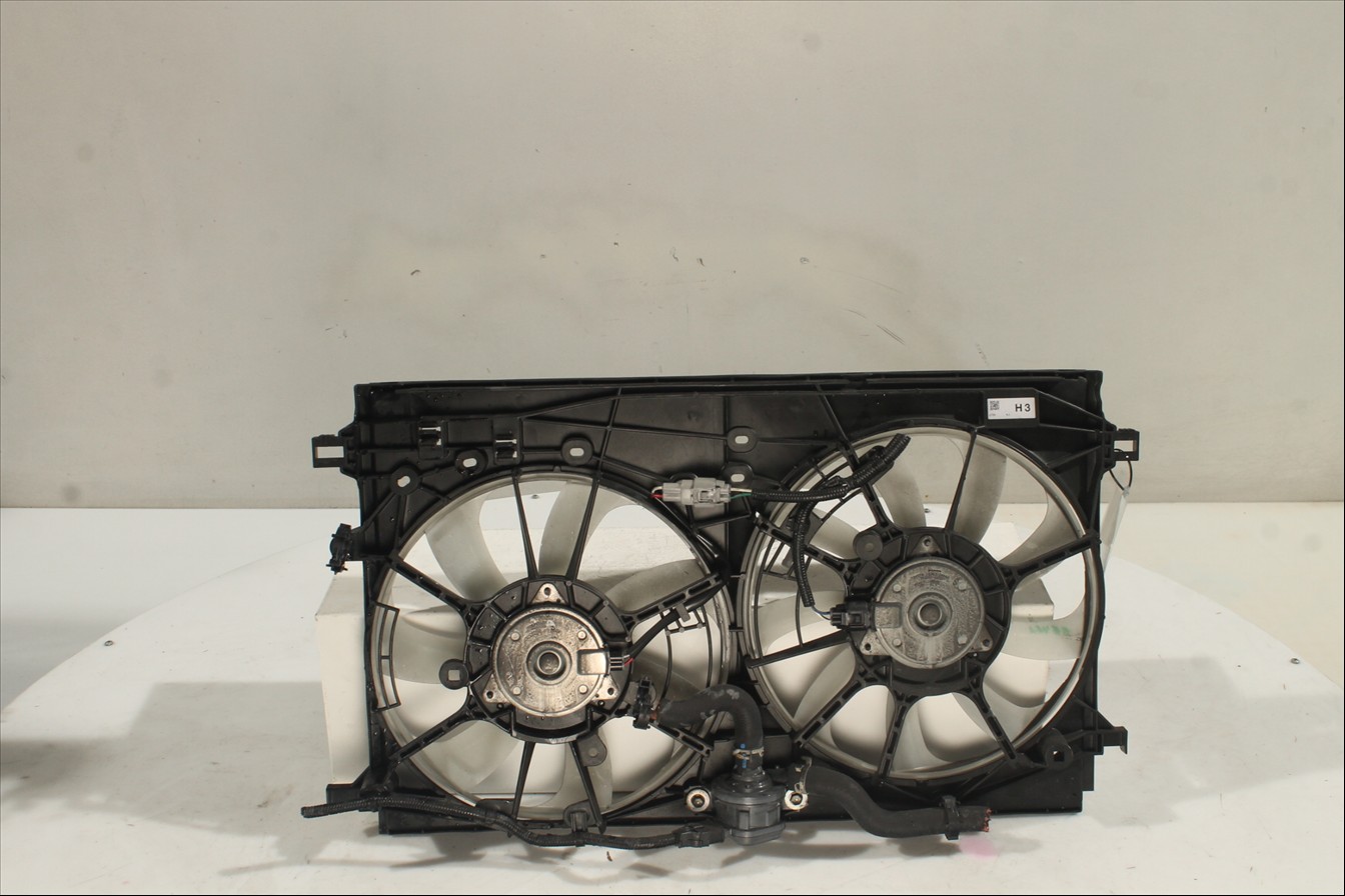 Conjunto electros y soporte