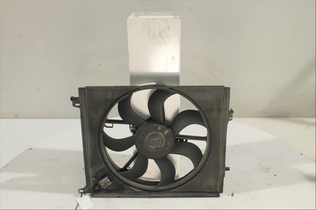 Conjunto electros y soporte