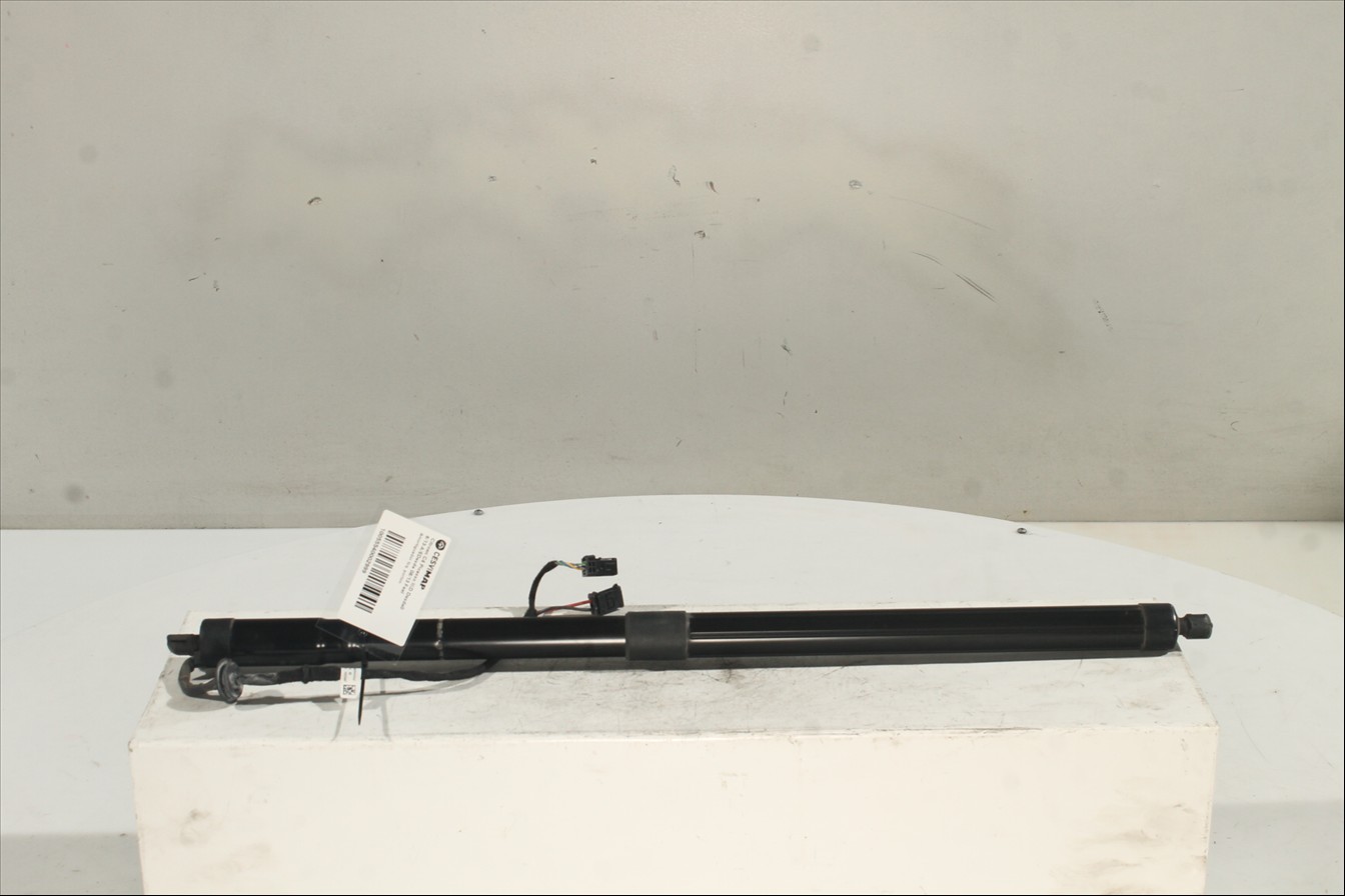 Amortiguador Izq. portón